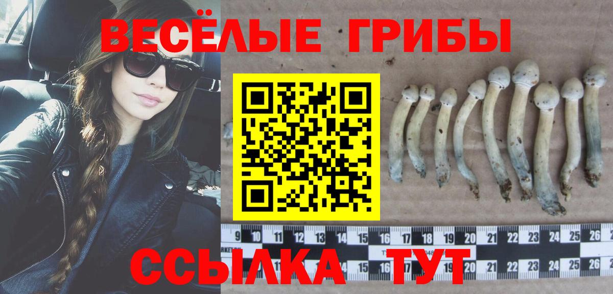 Псилоцибиновые грибы ЛСД  Вход с VPN  Алатырь 
